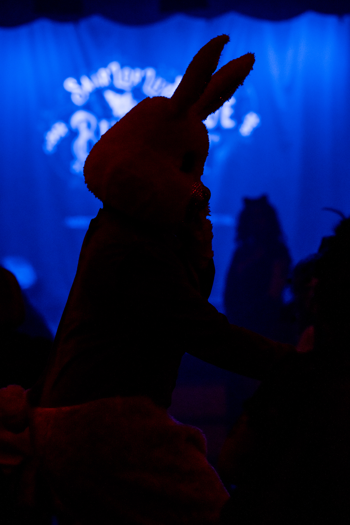 Festivalmoment aus dem Jahr 2026